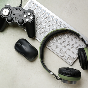 Electronic Accessories